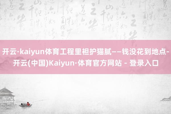 开云·kaiyun体育工程里袒护猫腻——钱没花到地点-开云(中国)Kaiyun·体育官方网站 - 登录入口