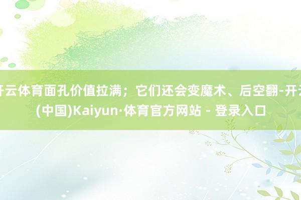 开云体育面孔价值拉满；它们还会变魔术、后空翻-开云(中国)Kaiyun·体育官方网站 - 登录入口